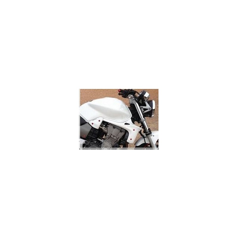 ECOPES pour Honda Hornet 900