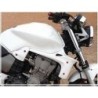 ECOPES pour Honda Hornet 900