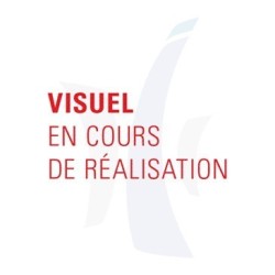 JEU DE 2 AILES AVANT...